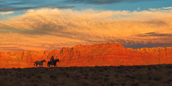 Robert Dawson 24 x 48 Open Edition Signed Giclee on Canvas:"Trailing Home"