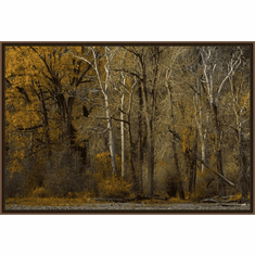 Gallerydirectart