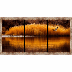 Gallerydirectart