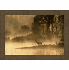 Gallerydirectart