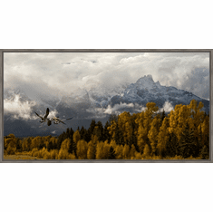Gallerydirectart