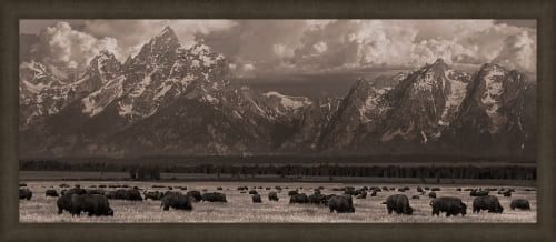 ROBERT DAWSON 36X66 FRAMED CANVAS:"WHERE THE BUFFALOS ROAM"