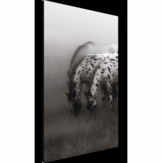 Gallerydirectart