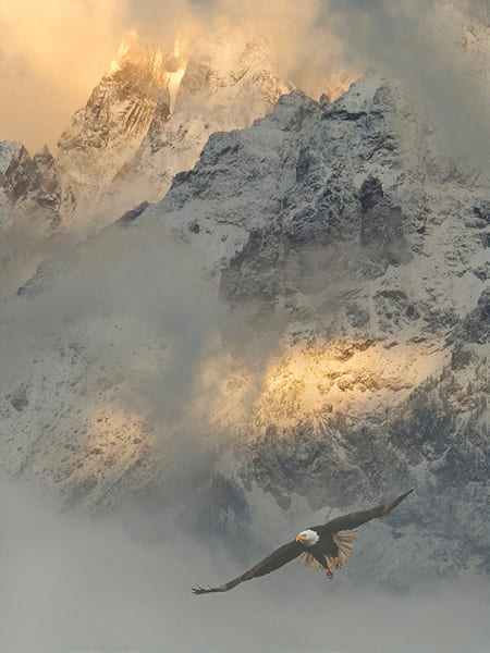 Robert Dawson 48 x 36 Open Edition Signed Giclee on Canvas:"In the Realm of the Gods"