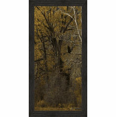 Gallerydirectart