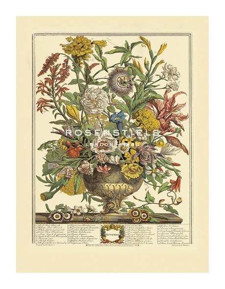 Robert Furber Hand Numbered Limited Edition Print on Paper :"September"