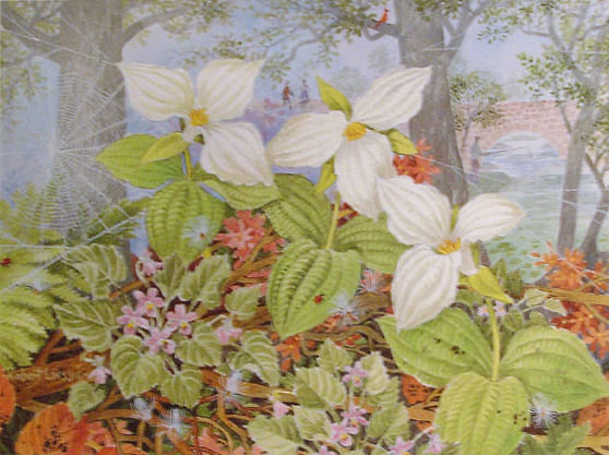 ROBERT LAESSIG 12X14 Secondary Market Art: "TRUILLIUMS & LADYBUGS"