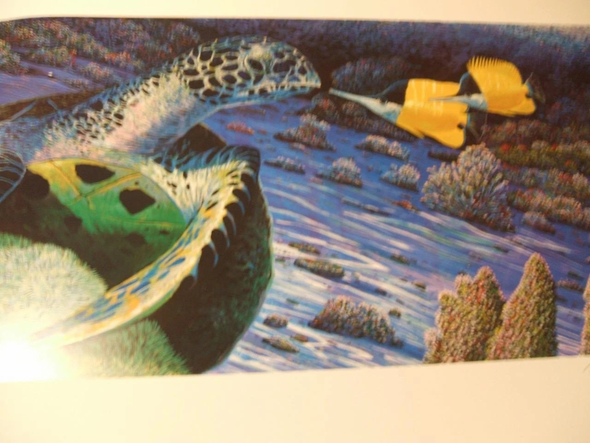 Robert Lyn Nelson Mixed Media Print: "Turtle and Butterfly"