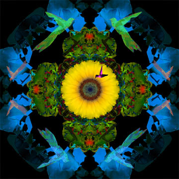 Robert Mertens Handsigned and Numbered Limited Edition Canvas Art: "Hummingbird Dream, Midnight"