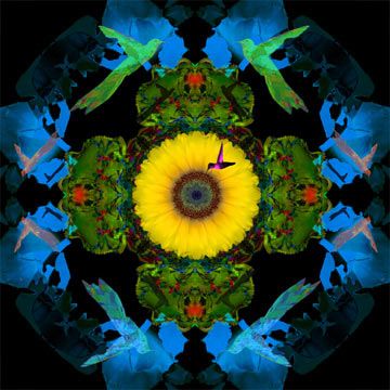 Robert Mertens Handsigned and Numbered Limited Edition Canvas Art: "Hummingbird Dream, Midnight"