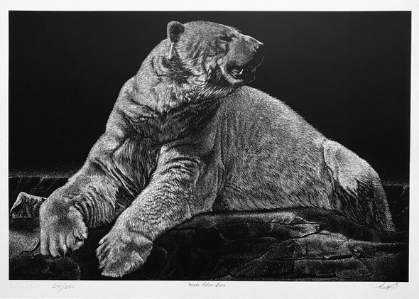 Robert Pow Artist Hand-signed Limited Edition Lithograph: "MALE POLAR BEAR"
