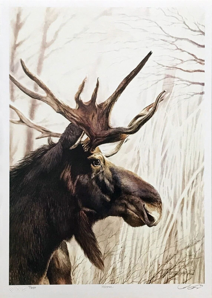 Robert Pow Signed LIMITED Edition of Lithograph: "MOOSE"