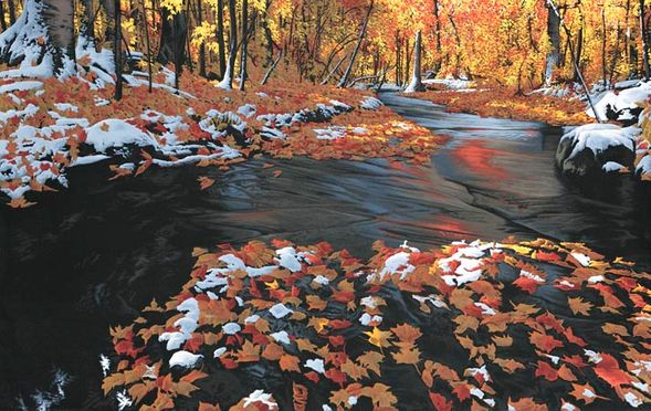 Robert Ross Hand Signed and Numbered Limited Edition Giclee Canvas:" First Snow "