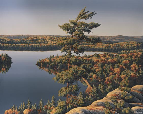 Robert Ross Hand Signed and Numbered Limited Edition Giclee Canvas:" Landmark Tree (The) "