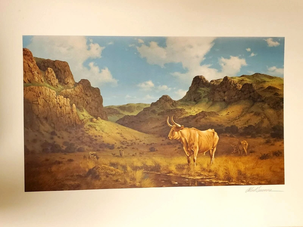 Robert Summers Signed Limited Edition Lithograph Print: "Texas Longhorn"