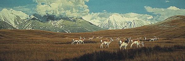 Rod Frederick Artist Proof Limited Edition Print:"Early Evening Gathering"