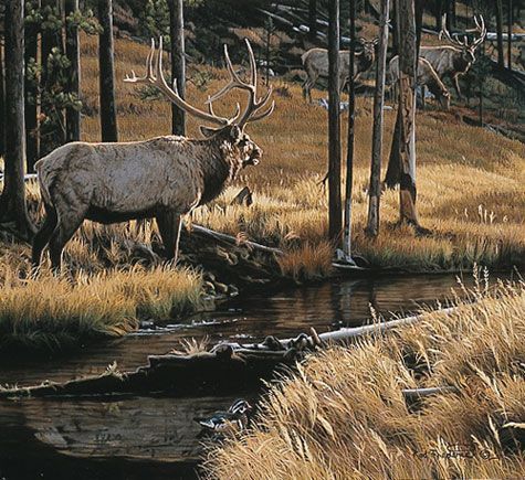 Rod Frederick Hand Signed and Numbered Ltd Ed Print:"Glory Days"