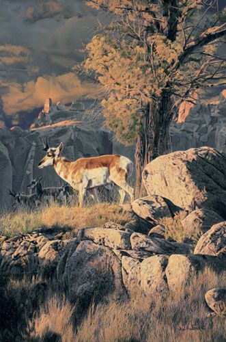 Rod Frederick Handsigned and Numbered Limited Edition Canvas Giclee:"On the Canyon Rim"