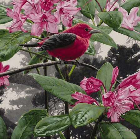 Rod Frederick Handsigned and Numbered Limited Edition Canvas:"Scarlet Tanager"