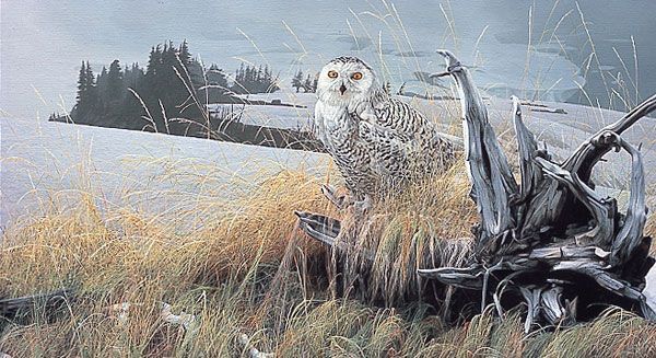 Rod Frederick Handsigned & Numbered Limited Edition Print:"On the Wings of Winter "