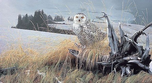 Rod Frederick Handsigned & Numbered Limited Edition Print:"On the Wings of Winter "