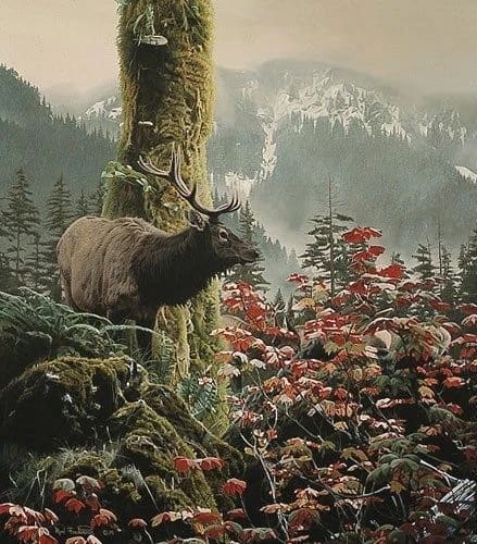 Rod Frederick Signed and Numbered Limited Edition  Lithograph: "High Country Harem"
