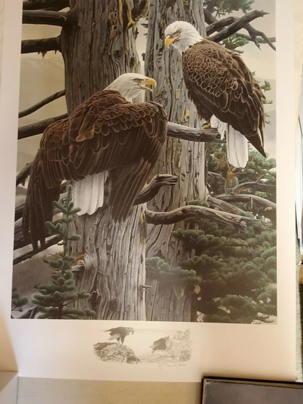 Rod Frederick Signed and Numbered Limited Edition  Lithograph: "Nesting Call"