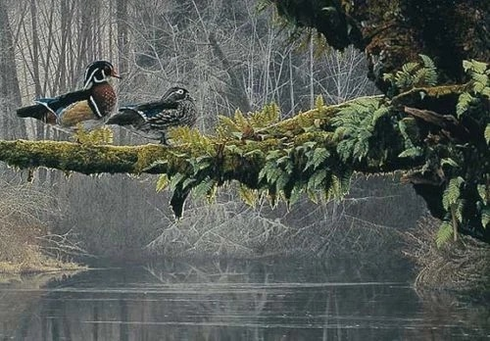 Rod Frederick Signed and Numbered Limited Edition  Lithograph: "Out On A Limb"