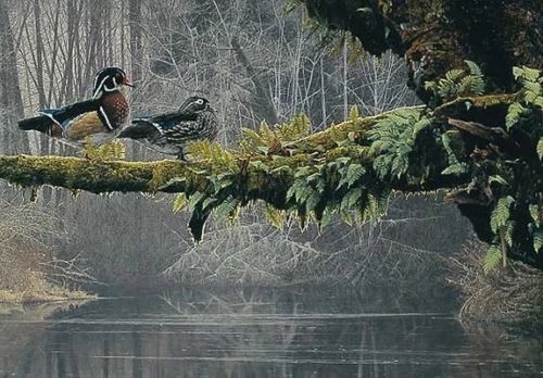 Rod Frederick Signed and Numbered Limited Edition  Lithograph: "Out On A Limb"