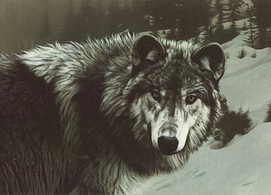 Rod Frederick Signed and Numbered Limited Edition Lithograph: "Timber Ghost"