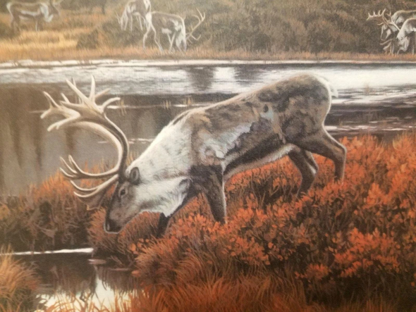 Rod Frederick Signed and Numbered Limited Edition Lithograph: "Way Of The Caribou"