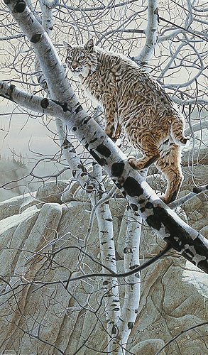Rod Frederick Signed by the Artist Limited Edition Paper Lithograph:"Rim Walk"