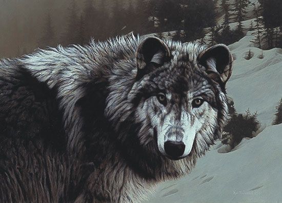 Rod Frederick Signed by the Artist Limited Edition Paper Lithograph:"Timber Ghost"