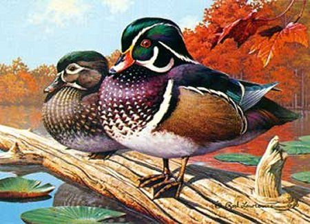 Rod Lawrence Handsigned and Numbered Limited Edition Paper Signed and Numbered:"Wood Ducks - 1990 Michigan Duck Stamps - Sold Out"
