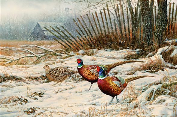 Rosemary Millette Artist Signed Limited Edition Print:"Windbreak Refuge"