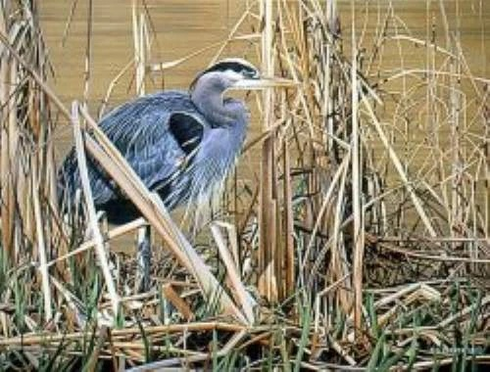 Ron Parker Signed and Numbered Limited Edition Lithograph: "Great Blue Heron" Ron Parker Signed and Numbered Limited Edition Lithograph: "Great Blue Heron"