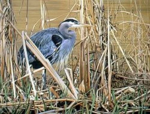 Ron Parker Signed and Numbered Limited Edition Lithograph: "Great Blue Heron"