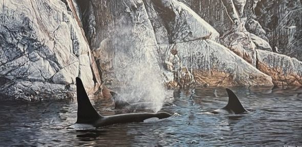 Ron Parker Signed by the Artist Limited Edition Paper Lithograph:"Deep Water - Orcas (Imperfect)"