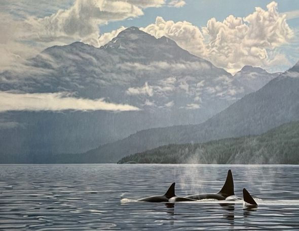 Ron Parker Signed by the Artist Limited Edition Paper Lithograph:"Inside Passage - Orcas"