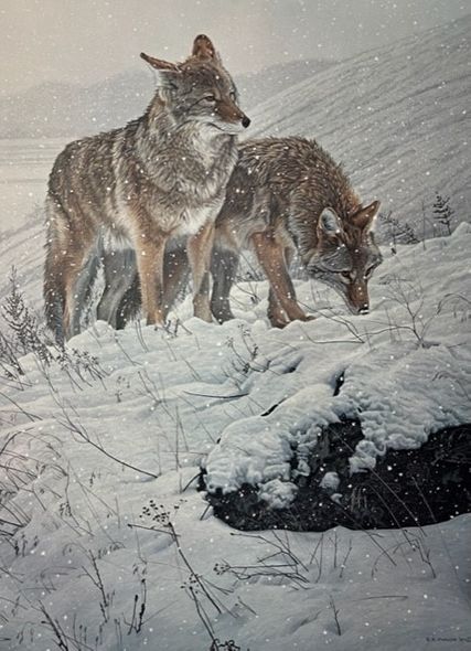 Ron Parker Signed by the Artist Limited Edition Paper Lithograph:"Winter Storm - Coyotes (Imperfect)"