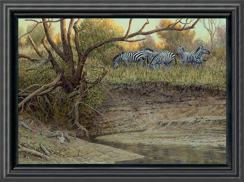 Ron Van Gilder Framed Limited Edition Canvas: "Cutbank-Zebras"