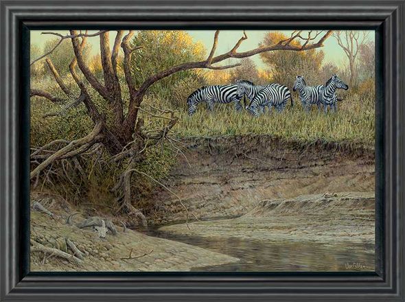 Ron Van Gilder Framed Limited Edition Canvas: "Cutbank-Zebras"