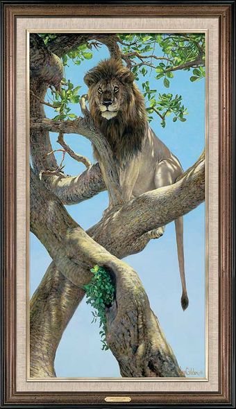 Ron Van Gilder Framed Limited Edition Canvas: "High and Mighty-Lion"