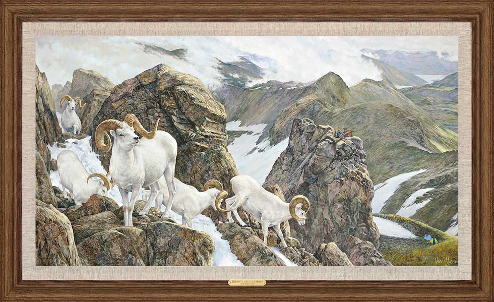 Ron Van Gilder Framed Limited Edition Canvas: "High Life-Dall Sheep"