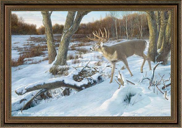 Ron Van Gilder Framed Limited Edition Canvas: "Last Light-Whitetail Deer"