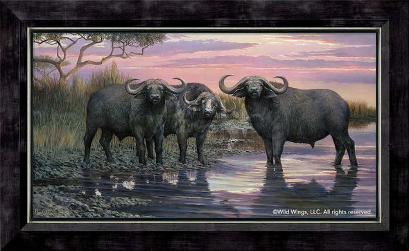 Ron Van Gilder Framed Limited Edition Canvas: "Nightfall-Cape Buffalo"
