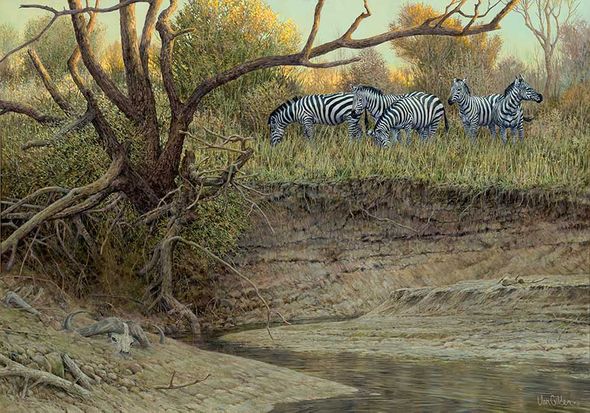 Ron Van Gilder Hand Signed and Numbered Limited Edition Premier Canvas Giclee:"Cutbank Zebras"