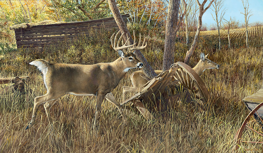 Ron Van Gilder Hand Signed and Numbered Limited Edition Print: "Old Homestead Buck"