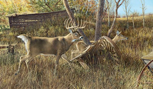 Ron Van Gilder Hand Signed and Numbered Limited Edition Print: "Old Homestead Buck"