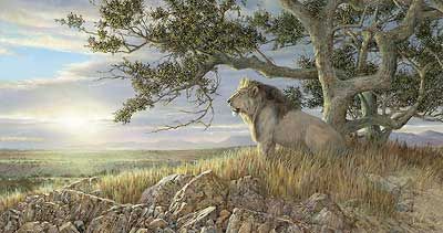 Ron Van Gilder Handsigned and Numbered Limited Edition Canvas Giclee:"Morning Glory-Lion"